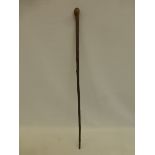 A natural wooden walking cane, the knop with a carved head of a parrot with glass eyes.