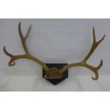 A pair of wall mounted four point deer antlers.