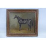 E.CRAVEN - study of a stallion, oil on canvas, framed 14 1/4 x 12 1/4".