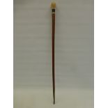 A malacca walking cane with ivory and ebonised knop, the cane terminating in a brass cap.