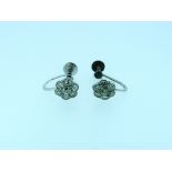 A small pair of diamond set flower head earrings, with screw fittings, all mounted in white metal (