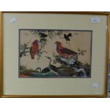 19thC Chinese School (Qing Dynasty) A set of eight pith or rice paper paintings - Birds of Paradise