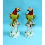 A pair of early 20thC continental Macaw birds, possibly Ludwigsburg, the birds perched on stumps