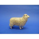 A Beswick pottery Cotswold Sheep, MN.4122, gloss, 4½in (11.5cm) high.