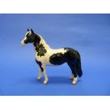 A Beswick pottery Pinto Pony model, MN.1373, second version, piebald, gloss, 6½in (16.5cm) high.