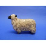 A Beswick pottery Wensleydale Sheep, MN.4123, gloss, 4¼in (10.75cm) high.