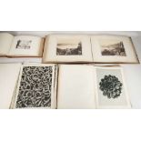 A rare 1895 red leather and gilt decorated album of platinum prints, news of Contrexevile etc.