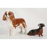 A Beswick model of a Cavalier King Charles spaniel