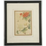 Oriental school, 3 signed botanical watercolour st