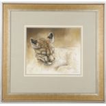 Withdrawn!!Lindsey Selley, 21st century British, study of a puma and baby gorilla, watercolours,
