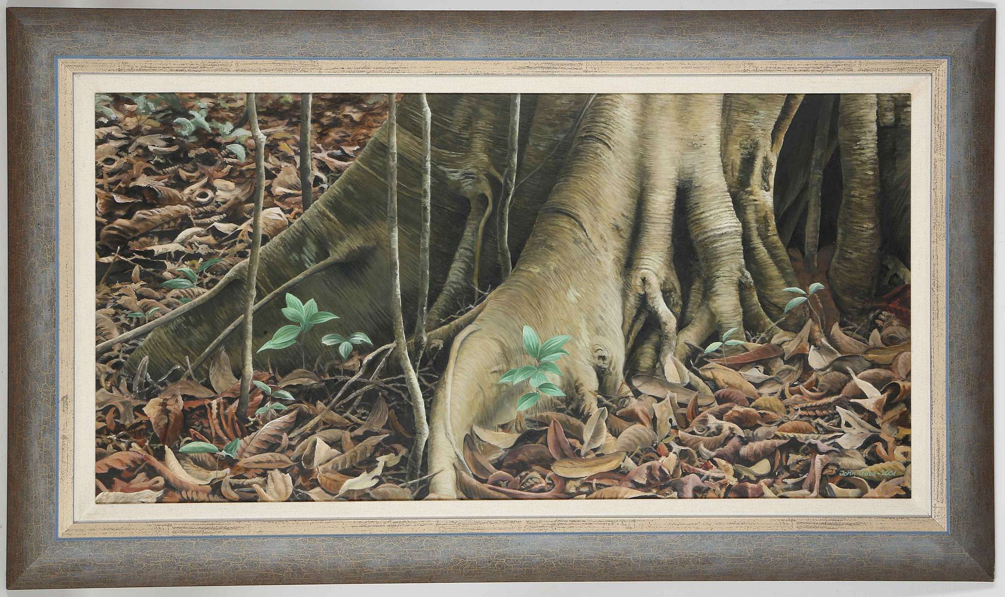 JOHN GALE, British, 20th / 21st century. Woodland study, oil on panel. Signed and dated 2001. 34 x