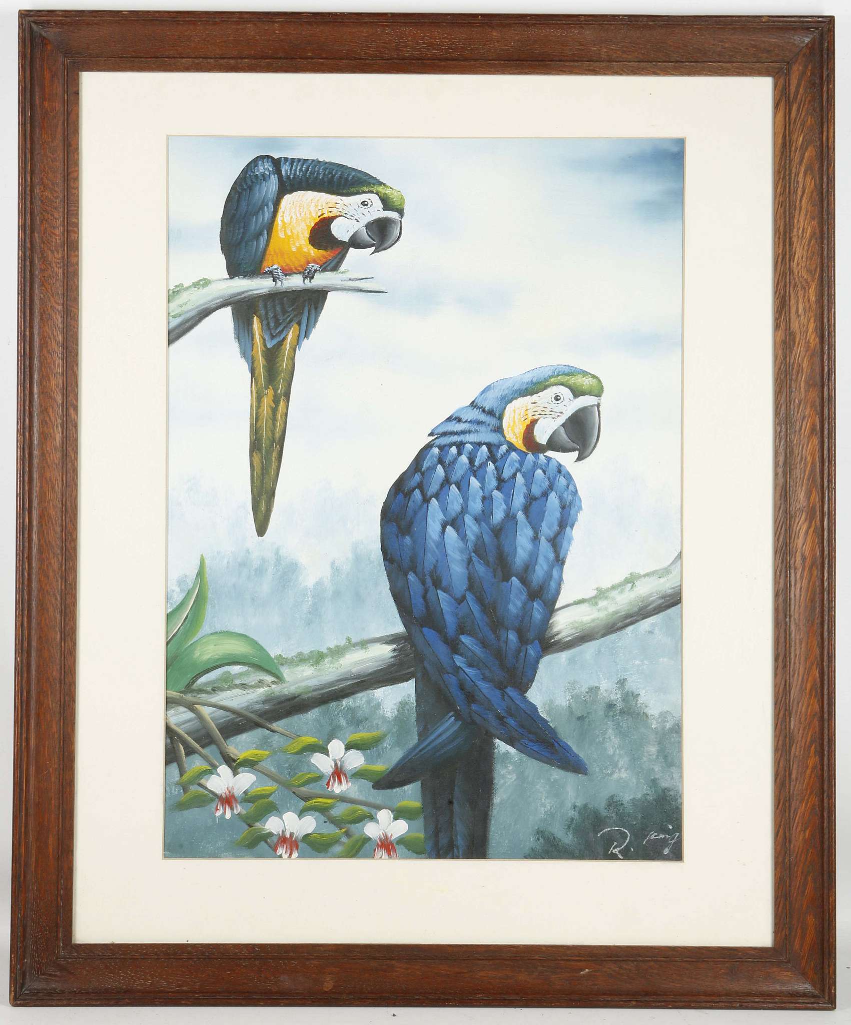 An ornithological oil painting study of blue macaws perched on tree boughs, oak framed. 54 x 39cm.