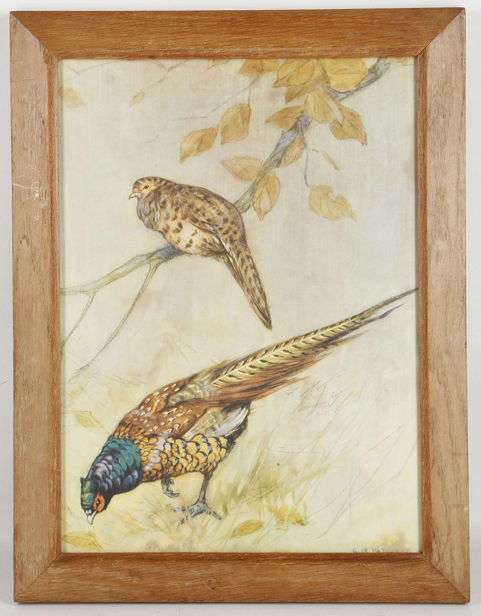 Five framed pictures including portraits, pheasants etc. (5). - Image 9 of 10