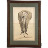 Ernest Griset (French, 1844-1907). 'Vultur Monarch