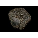 AN EGYPTIAN GRANODIORITE HEAD FRAGMENT  Middle Kingdom, 12th Dynasty, circa 1991-1786 B.C. Showing