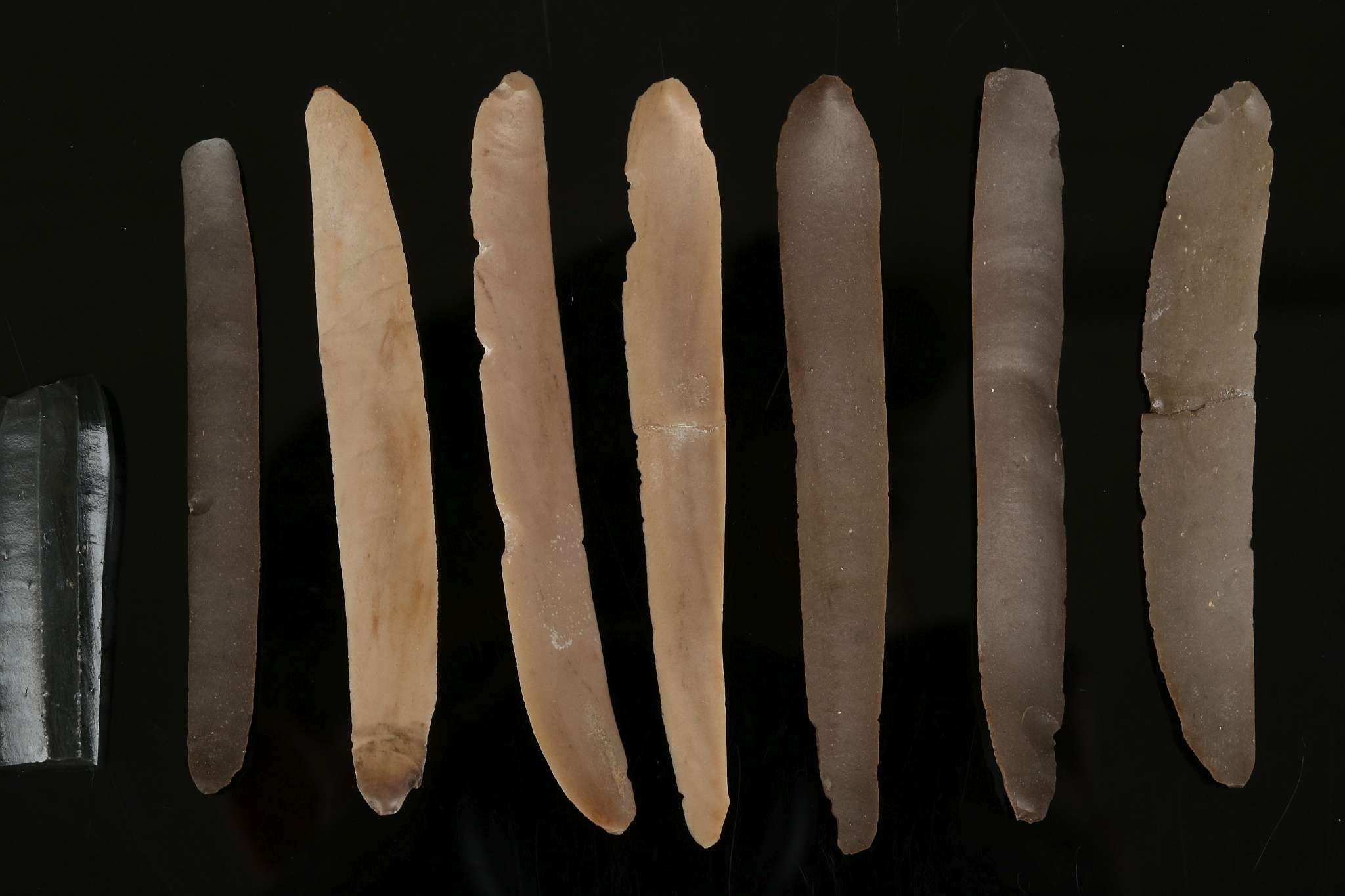 TWENTY EGYPTIAN STONE IMPLEMENTS Circa 4th Millennium B.C. Including nine flint blades, a flint - Image 2 of 3