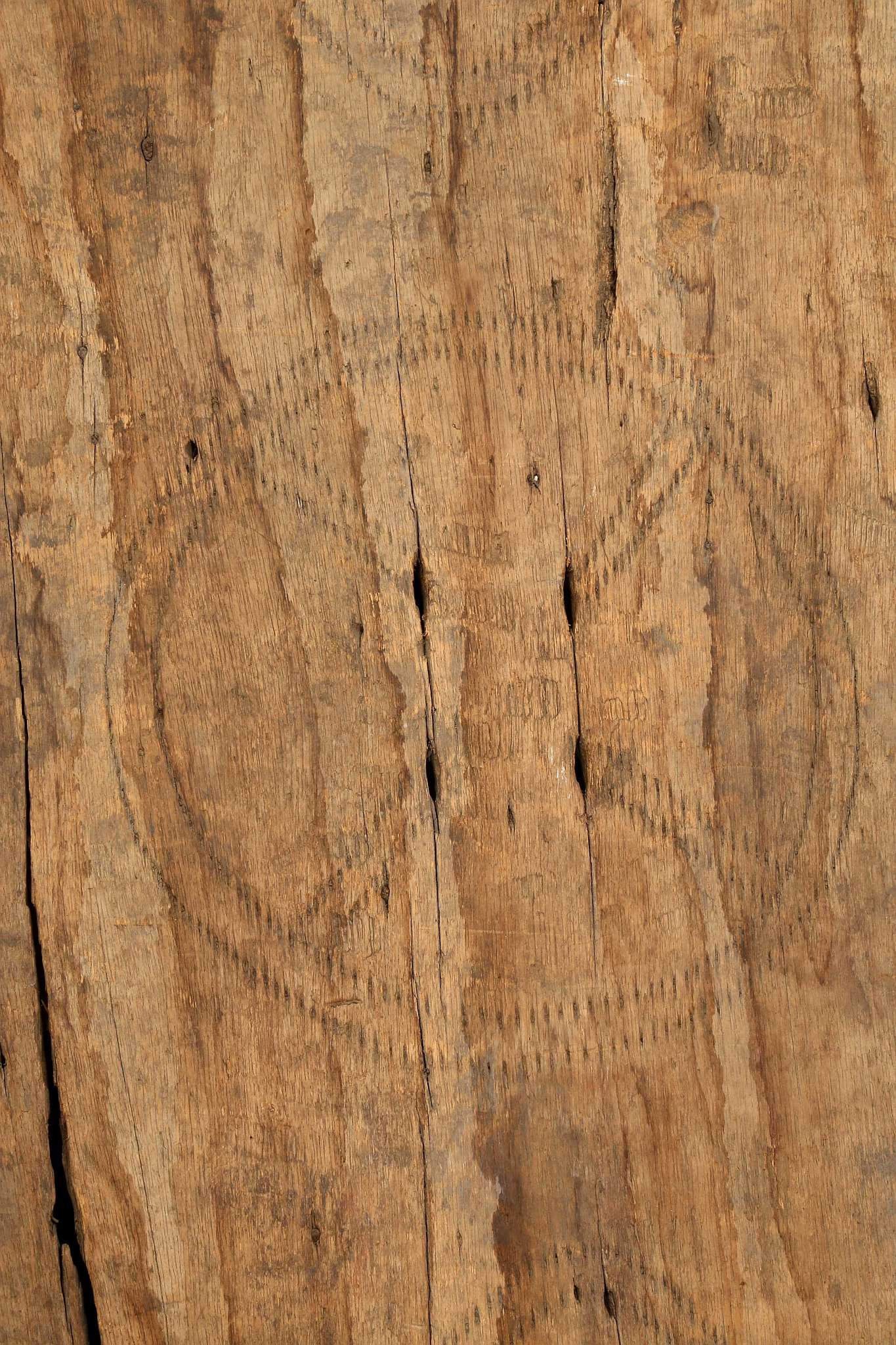 A LARGE SIMBAI OR MARING SHIELD, PAPUA NEW GUINEA Of rectangular shape, decorated with incised - Image 2 of 2