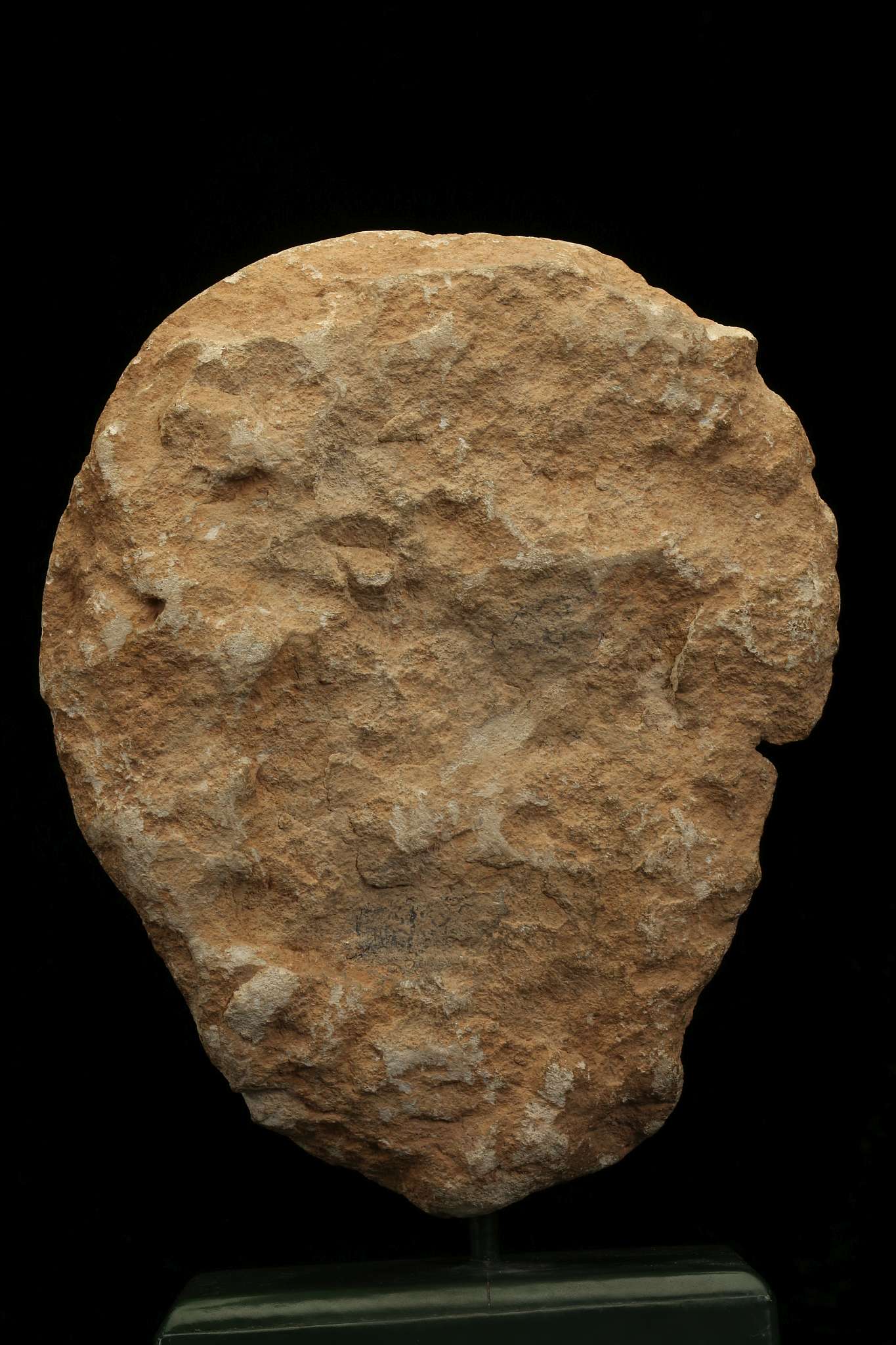 A ROMAN LIMESTONE MALE PORTRAIT HEAD Circa 2nd Century A.D. Possibly from a large relief, the back - Image 5 of 9