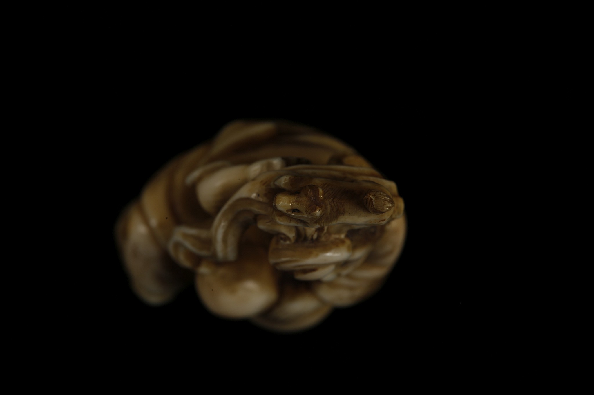 A JAPANESE CARVED IVORY NETSUKE. Signed Gyokubun, Meiji Period. 6cm H. - Image 5 of 6