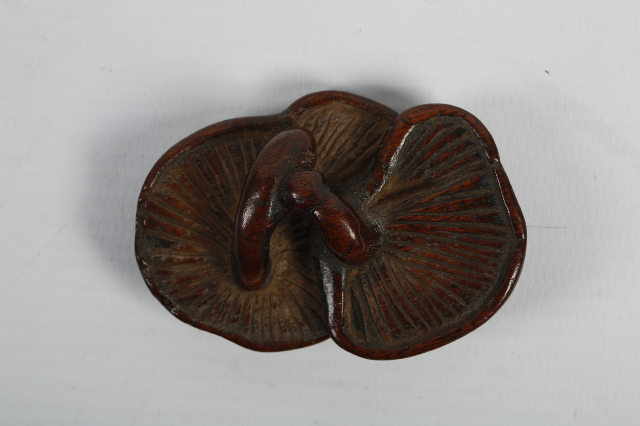 A JAPANESE WOODEN NETSUKE. Edo - Meiji Period. Carved as two conjoined mushrooms, 6cm long. - Image 6 of 7