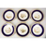 A set of twelve English porcelain named view cabinet plates, late 19th century, each hand painted