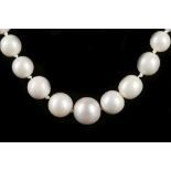 A graduated single strand natural freshwater pearl