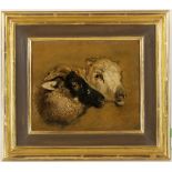 Attributed to Thomas Sidney Cooper 1803-1902 'Study of Two Sheep Heads'. A finely observed oil on