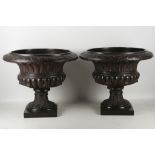 A pair of large simulated cast iron campana shape urns, with acanthus decoration on square bases, 46