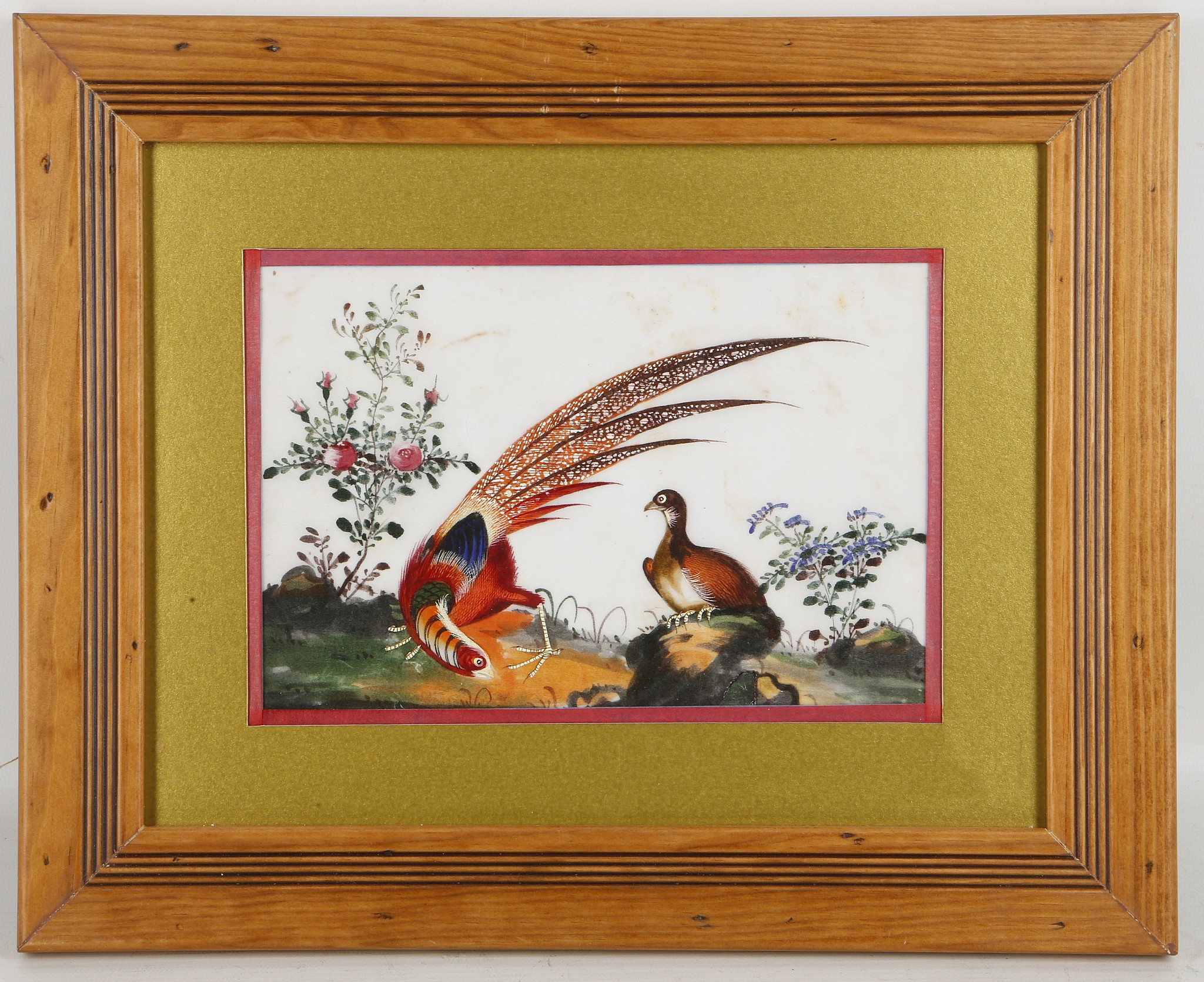 A set of five pith paintings depicting colourful birds, late Qing dynasty, framed and glazed, 29 x