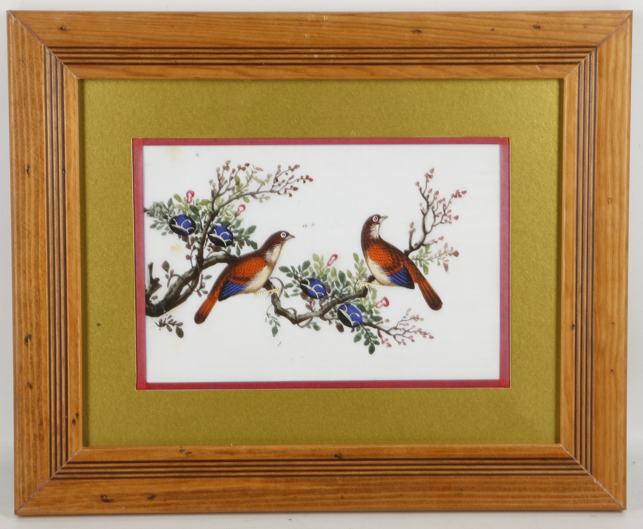 A set of five pith paintings depicting colourful birds, late Qing dynasty, framed and glazed, 29 x - Image 7 of 10