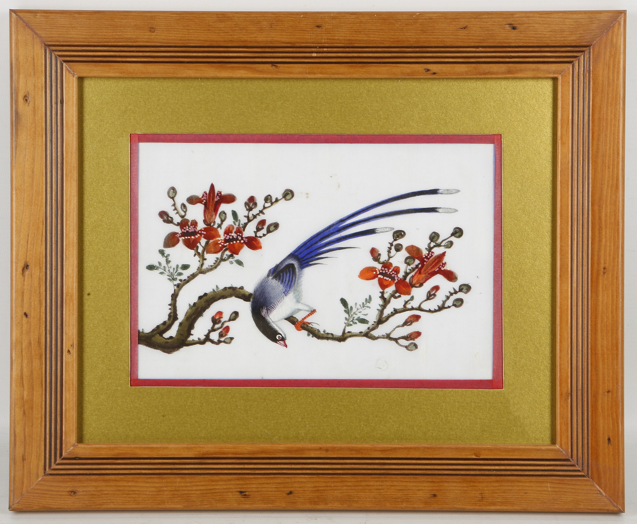 A set of five pith paintings depicting colourful birds, late Qing dynasty, framed and glazed, 29 x - Image 3 of 10