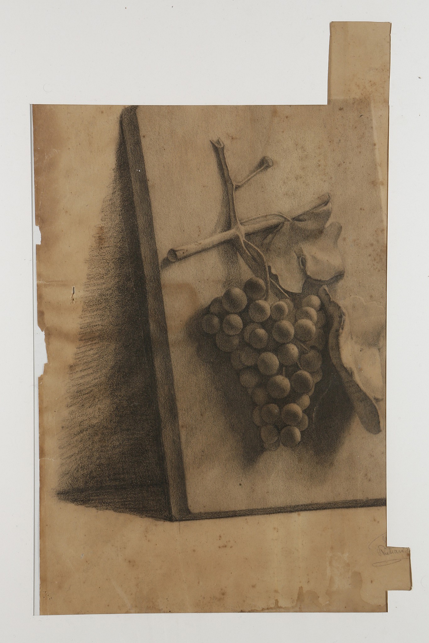 Late 19th century English school. A fine still life drawing of grapes. Inscribed to the margin.