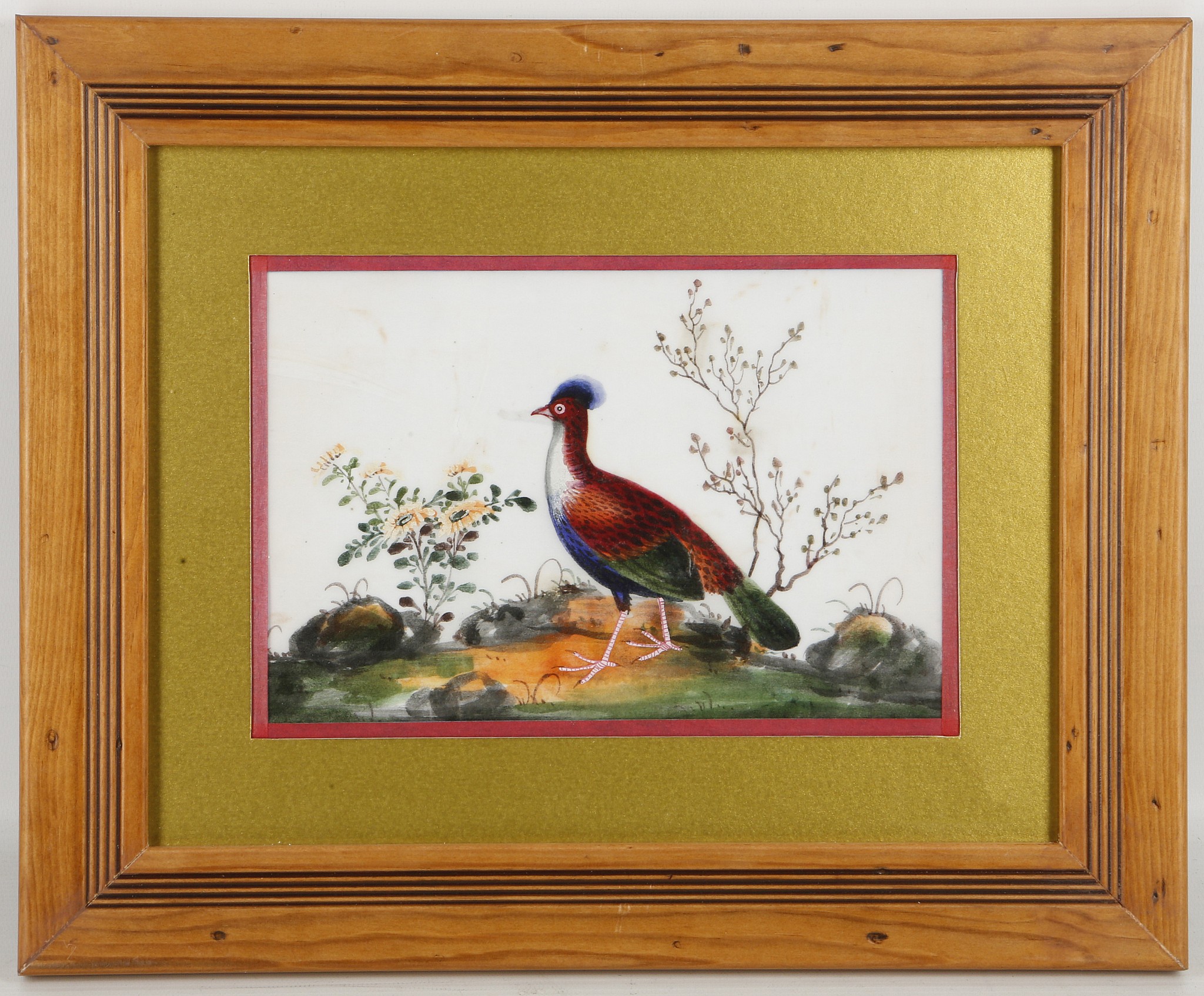 A set of five pith paintings depicting colourful birds, late Qing dynasty, framed and glazed, 29 x - Image 9 of 10