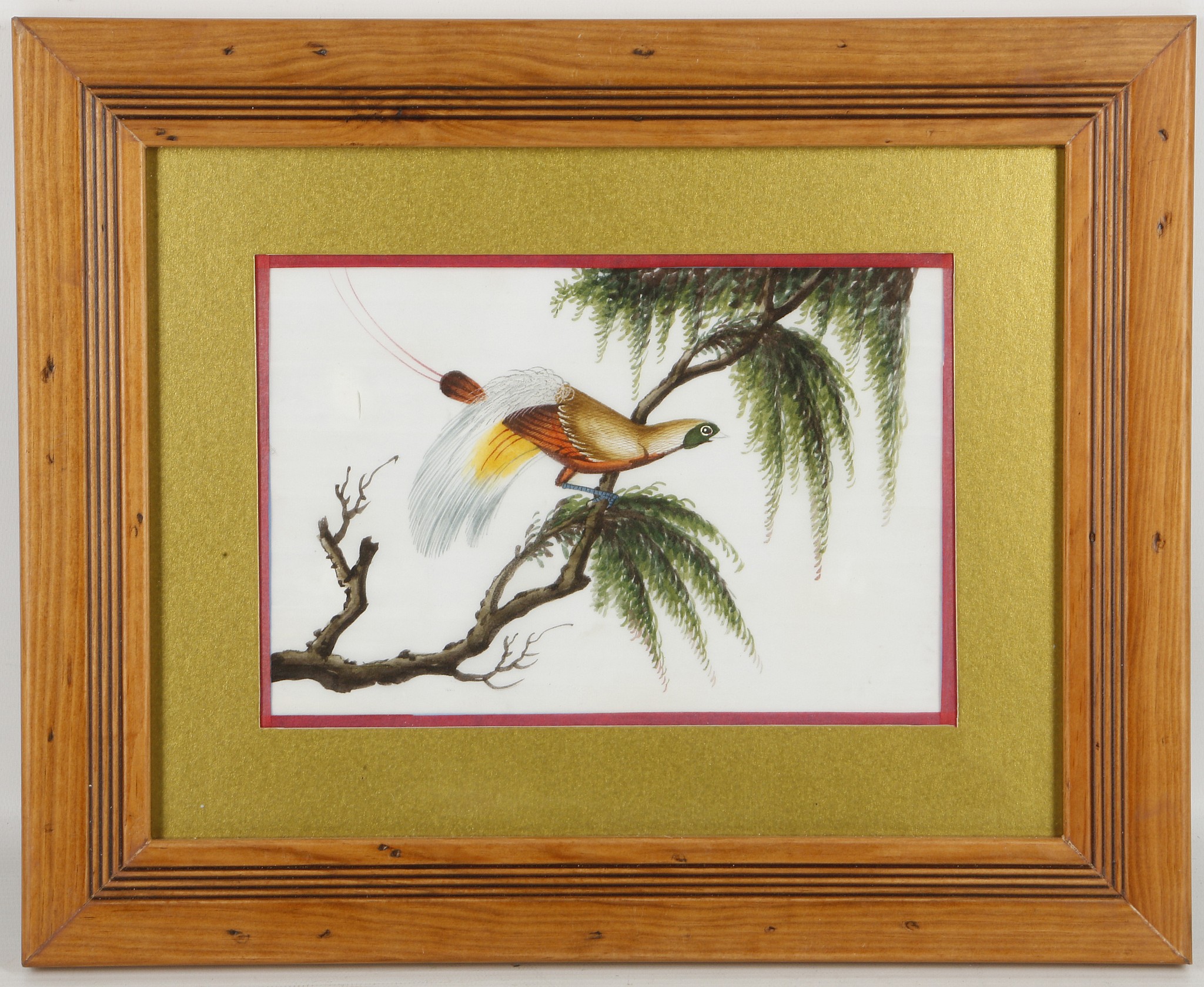 A set of five pith paintings depicting colourful birds, late Qing dynasty, framed and glazed, 29 x - Image 5 of 10