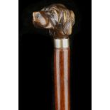 A LATE 19TH / EARLY 20TH CENTURY STAINED WOOD CANE