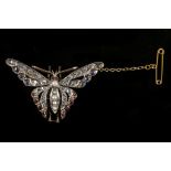 A late Victorian, gold butterfly pendant / brooch,