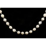 A single strand natural saltwater pearl necklace,