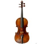 Violin labelled, Raffaele Tarpani Napoli No97 One piece back 14 3/16",36.01cm