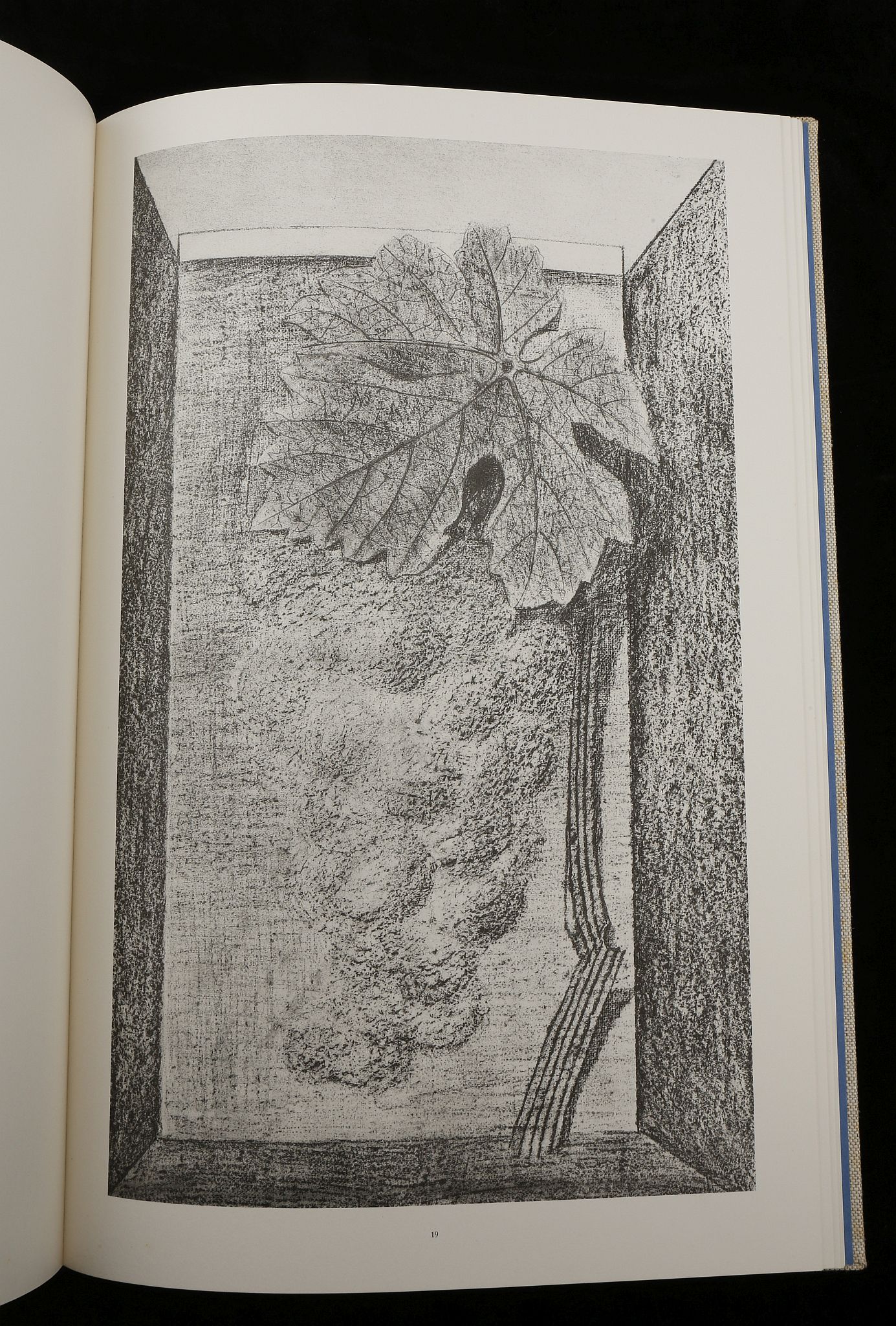 MAX ERNST - HISTOIRE NATURELLE, PUBLISHED BY THAME - Image 15 of 28