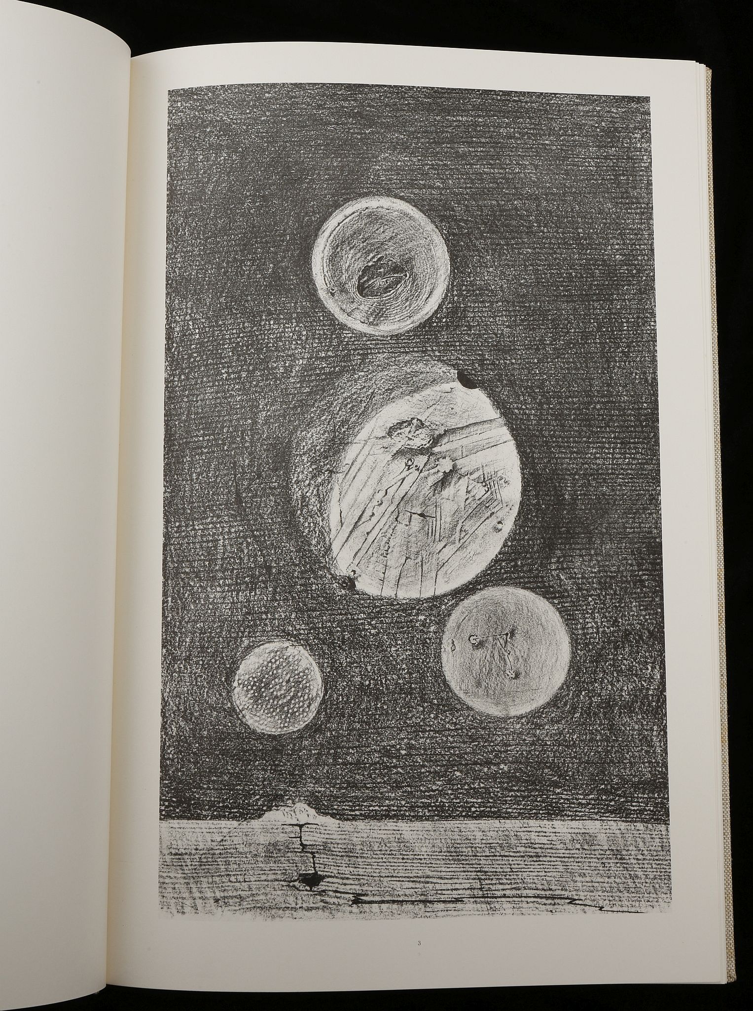 MAX ERNST - HISTOIRE NATURELLE, PUBLISHED BY THAME - Image 10 of 28