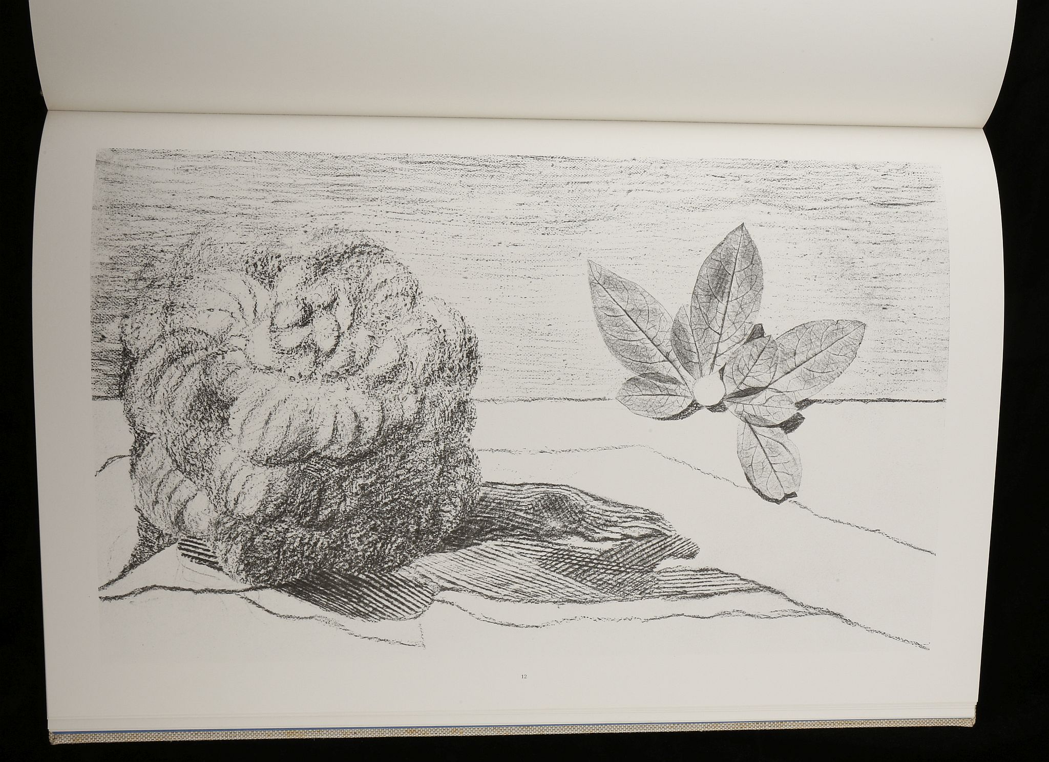 MAX ERNST - HISTOIRE NATURELLE, PUBLISHED BY THAME - Image 12 of 28