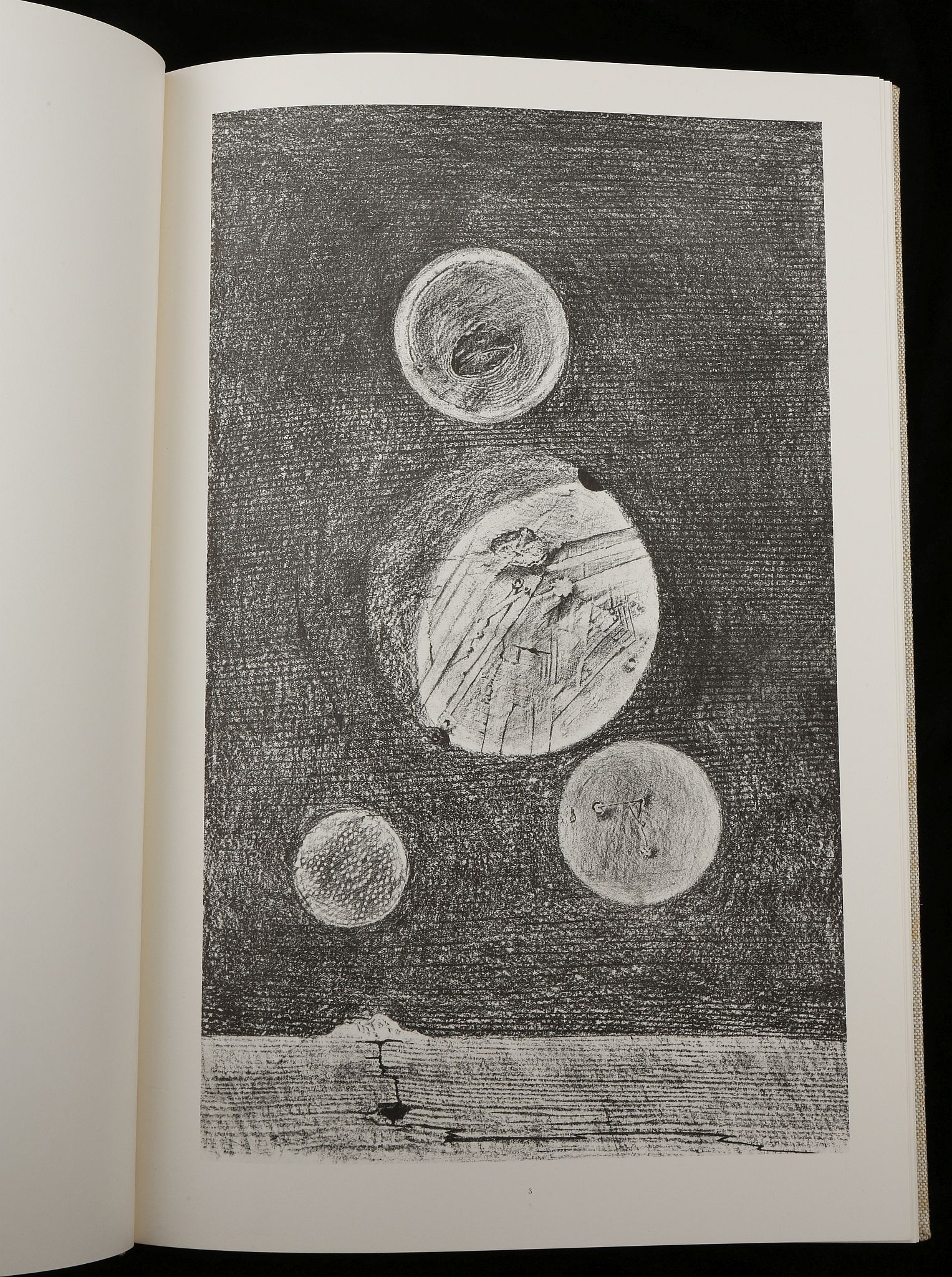 MAX ERNST - HISTOIRE NATURELLE, PUBLISHED BY THAME - Image 9 of 28