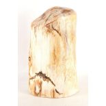 Tree stump fossil, 37cm high, Indonesian, milk gre