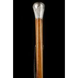 A CONTINENTAL SILVER TOP CANE. Circa 1900. The silver knop with reeded decoration on a malacca shaft