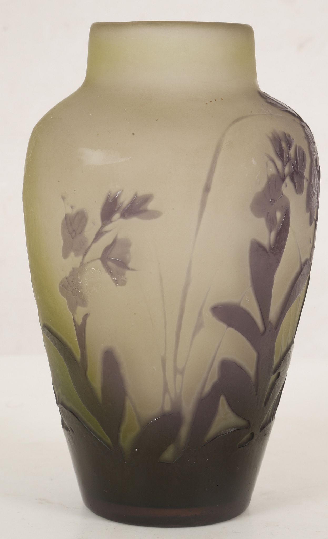 GALLE NANCY, CIRCA 1910, CAMEO GLASS VASE , overlaid and acid etched with flowers and leaves in - Image 2 of 6