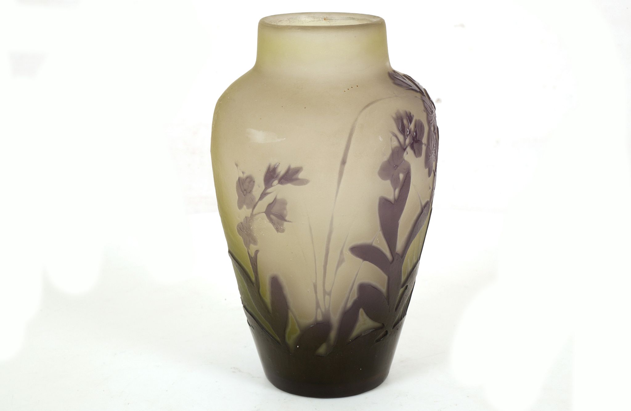 GALLE NANCY, CIRCA 1910, CAMEO GLASS VASE , overlaid and acid etched with flowers and leaves in
