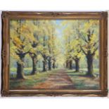 Dutch school, circa 1920 'Autumn Trees', oil on canvas, an avenue of tress in late summer light,