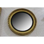 A Regency giltwood convex mirror, having gilded ball against black rim, 65cm diameter.