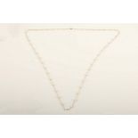 A 14ct gold and cultured pearl long chain, the trace link chain mounted and intervals with forty
