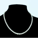 A single row of graduated cultured pearls, to a silver snap,
